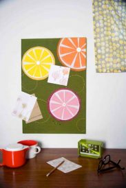 Citrus Slice Bulletin Board